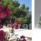 Odyssey Suites_lowest prices_in_Hotel_Piraeus islands - Trizonia_Trizonia_Trizonia Rest Areas