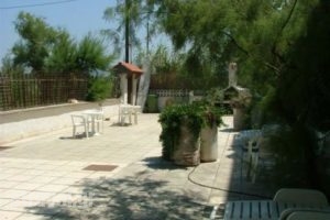 Pension Tzitzifies_travel_packages_in_Macedonia_Thessaloniki_Perea