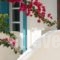 Andros Maisonettes_best deals_Hotel_Cyclades Islands_Andros_Andros City