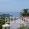 Ventura Rooms_best prices_in_Room_Ionian Islands_Kefalonia_Kefalonia'st Areas