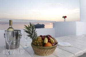 Mykonos View_accommodation_in_Apartment_Cyclades Islands_Mykonos_Mykonos Chora
