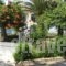 Shine Studios_best deals_Hotel_Aegean Islands_Lesvos_Kalloni