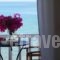 Roussos Beach Hotel_best deals_Hotel_Cyclades Islands_Paros_Paros Chora