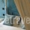 Anastazia Luxury Suites & Rooms_best prices_in_Room_Central Greece_Attica_Athens
