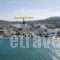 Papafragas Studios_holidays_in_Hotel_Cyclades Islands_Milos_Adamas