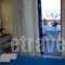 Regina Studios & Hotel_best deals_Hotel_Dodekanessos Islands_Karpathos_Karpathos Chora