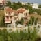 Villa Dioni_accommodation_in_Villa_Central Greece_Attica_Spata