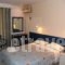 Stefanakis Hotel & Apartments_best deals_Apartment_Central Greece_Attica_Vari