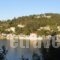 Studio Low Lina_accommodation_in_Hotel_Ionian Islands_Paxi_Paxi Chora