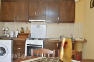 Ravanos Apartments_lowest prices_in_Apartment_Central Greece_Evia_Artemisio