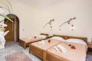 Erofili Hotel_travel_packages_in_Ionian Islands_Corfu_Lefkimi