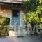 Nikolaos Apartments_best deals_Apartment_Peloponesse_Achaia_Vrachneika