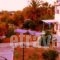 Villa Kelly Apartments_best deals_Villa_Cyclades Islands_Naxos_Naxos Chora