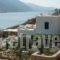 Amorgi Studios_accommodation_in_Hotel_Cyclades Islands_Amorgos_Amorgos Chora