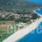 Villa Marina_best prices_in_Villa_Ionian Islands_Kefalonia_Kefalonia'st Areas