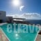 Villa Ellis Mar_accommodation_in_Villa_Cyclades Islands_Mykonos_Agios Stefanos