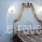 Villa Olga_accommodation_in_Villa_Ionian Islands_Lefkada_Kariotes