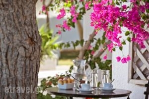 Kalisti Hotel & Suites_holidays_in_Hotel_Cyclades Islands_Sandorini_Sandorini Chora