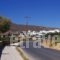 Ostria Studios_holidays_in_Hotel_Cyclades Islands_Andros_Gavrio