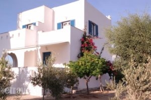 Aggelos Studios_lowest prices_in_Hotel_Cyclades Islands_Naxos_Naxos chora