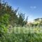 Stevalia Hotel & Spa_best deals_Hotel_Thessaly_Magnesia_Portaria