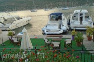 Stella Apartments_best prices_in_Apartment_Ionian Islands_Lefkada_Lefkada's t Areas