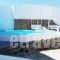 Terrarock Villa_travel_packages_in_Cyclades Islands_Mykonos_Tourlos
