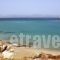 Blue Dolphin_best prices_in_Hotel_Cyclades Islands_Antiparos_Antiparos Chora