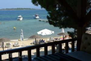 Haus Platanos_best deals_Hotel_Macedonia_Halkidiki_Chalkidiki Area