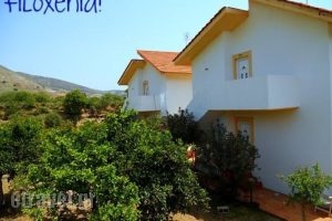 Filoxenia Apartments_best prices_in_Apartment_Dodekanessos Islands_Tilos_Tilos Chora