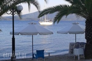 Meltemi_holidays_in_Hotel_Central Greece_Fthiotida_Glyfa