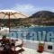 Archipelago Seaside Apartments_lowest prices_in_Apartment_Cyclades Islands_Sifnos_Vathy