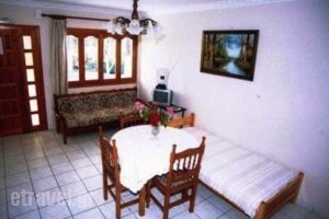 Nerissa Apartments_holidays_in_Room_Ionian Islands_Kefalonia_Kefalonia'st Areas