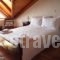 Xenonas Doma_accommodation_in_Hotel_Central Greece_Viotia_Arachova