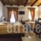 Parnassos Delphi Hotel_lowest prices_in_Hotel_Central Greece_Fokida_Delfi