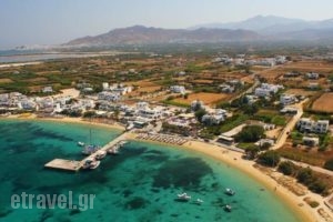 Kalia Studios_accommodation_in_Hotel_Cyclades Islands_Naxos_Naxos chora