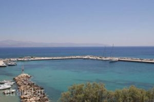 Ocean View Apartment_accommodation_in_Apartment_Cyclades Islands_Paros_Paros Chora