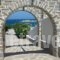 Marina Paros Apartment_best prices_in_Apartment_Cyclades Islands_Paros_Alyki