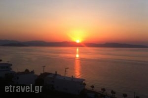Agistri House_lowest prices_in_Hotel_Piraeus islands - Trizonia_Aigina_Aigina Rest Areas