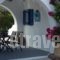Nataly & Katrin Apartments_best prices_in_Apartment_Cyclades Islands_Sandorini_Imerovigli