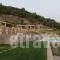 Elimnion Resort_accommodation_in_Hotel_Central Greece_Fthiotida_Livanates