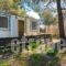 Forest Cottage_accommodation_in_Hotel_Dodekanessos Islands_Rhodes_Rhodes Rest Areas