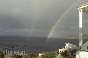Aegean Dream Apartments_best deals_Apartment_Cyclades Islands_Syros_Syros Chora