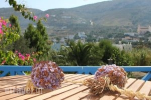 Argo Studios_accommodation_in_Hotel_Cyclades Islands_Syros_Posidonia