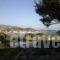Villa Spitaki_accommodation_in_Villa_Cyclades Islands_Antiparos_Antiparos Chora