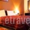 Hotel Odysseas_best deals_Hotel_Thessaly_Karditsa_Kalyvia