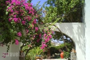 Apaggio Apartments_holidays_in_Apartment_Cyclades Islands_Amorgos_Katapola