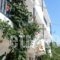 Baywatch Apartments_travel_packages_in_Dodekanessos Islands_Karpathos_Karpathosora