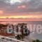 Frini Studios_accommodation_in_Hotel_Aegean Islands_Lesvos_Plomari