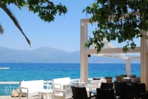 Hotel Kanelli Beach_lowest prices_in_Hotel_Peloponesse_Achaia_Simpolitia
